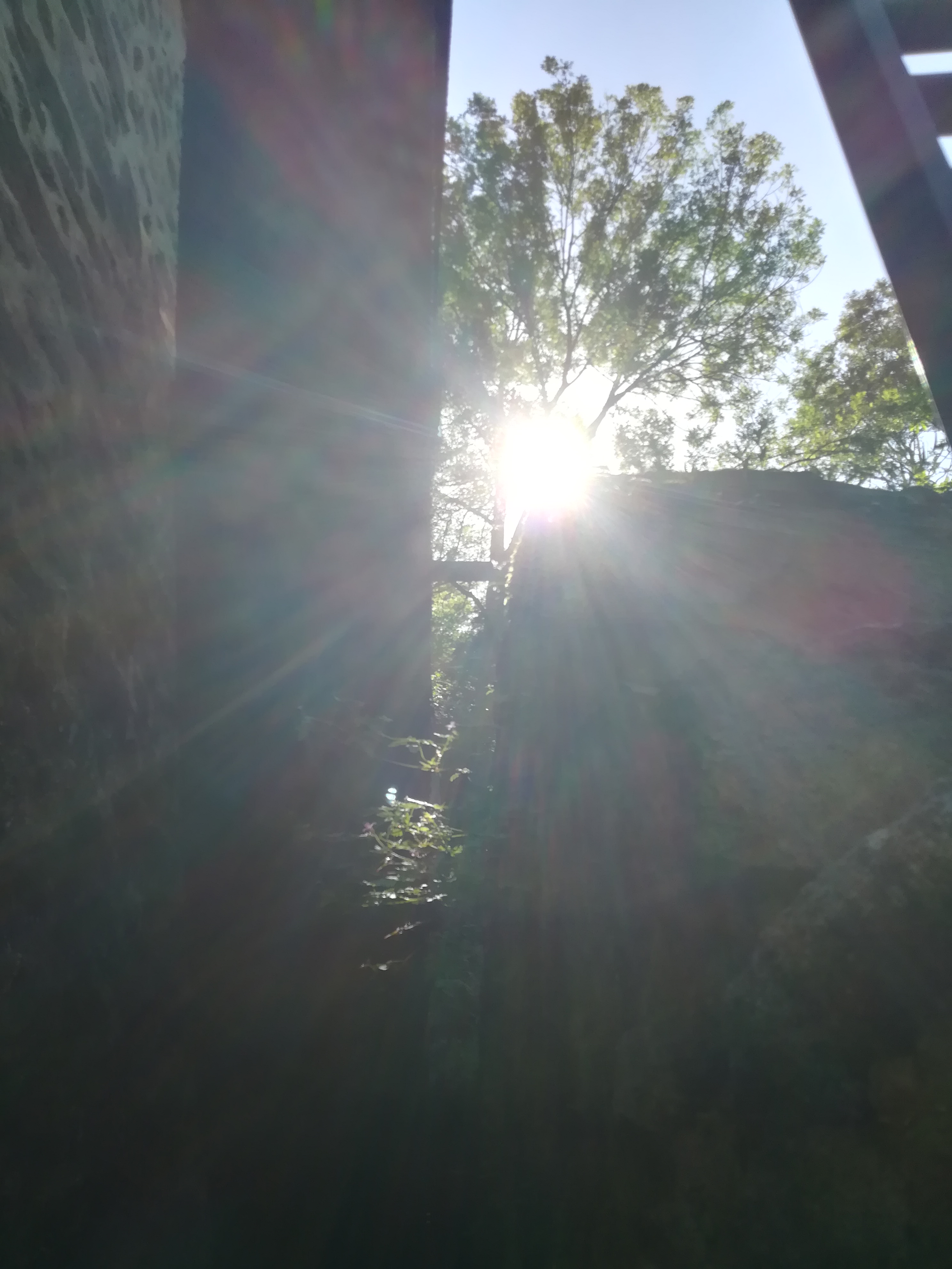 Photo n° 1 de l'avis de guillaume. fait le 06/06/2020 à 16:25