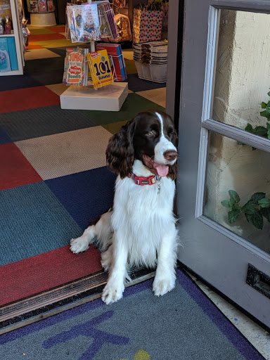 Toy Store «Kidstop», reviews and photos, 6990 E Shea Blvd #103, Scottsdale, AZ 85254, USA