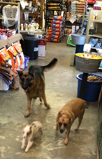 Crane's Country Corner