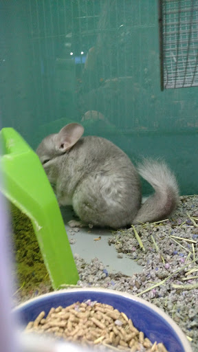 Pet Supply Store «Atlas Pet Supply», reviews and photos, 1798 Market Dr, Stillwater, MN 55082, USA