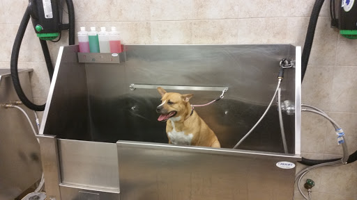 Pet Supply Store «Pet Supplies Plus», reviews and photos, 4524 Heritage Trace Pkwy, Fort Worth, TX 76244, USA