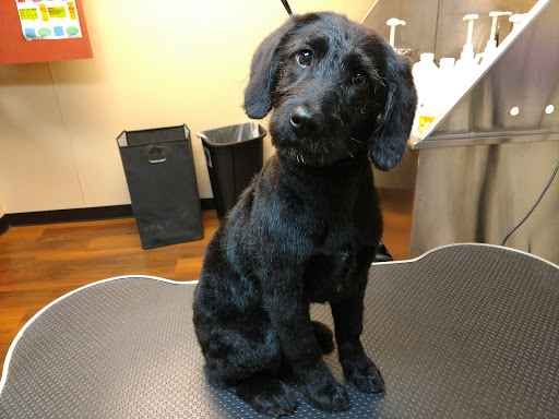 Pet Supply Store «Pet Valu», reviews and photos, 3437 Center Rd, Brunswick, OH 44212, USA