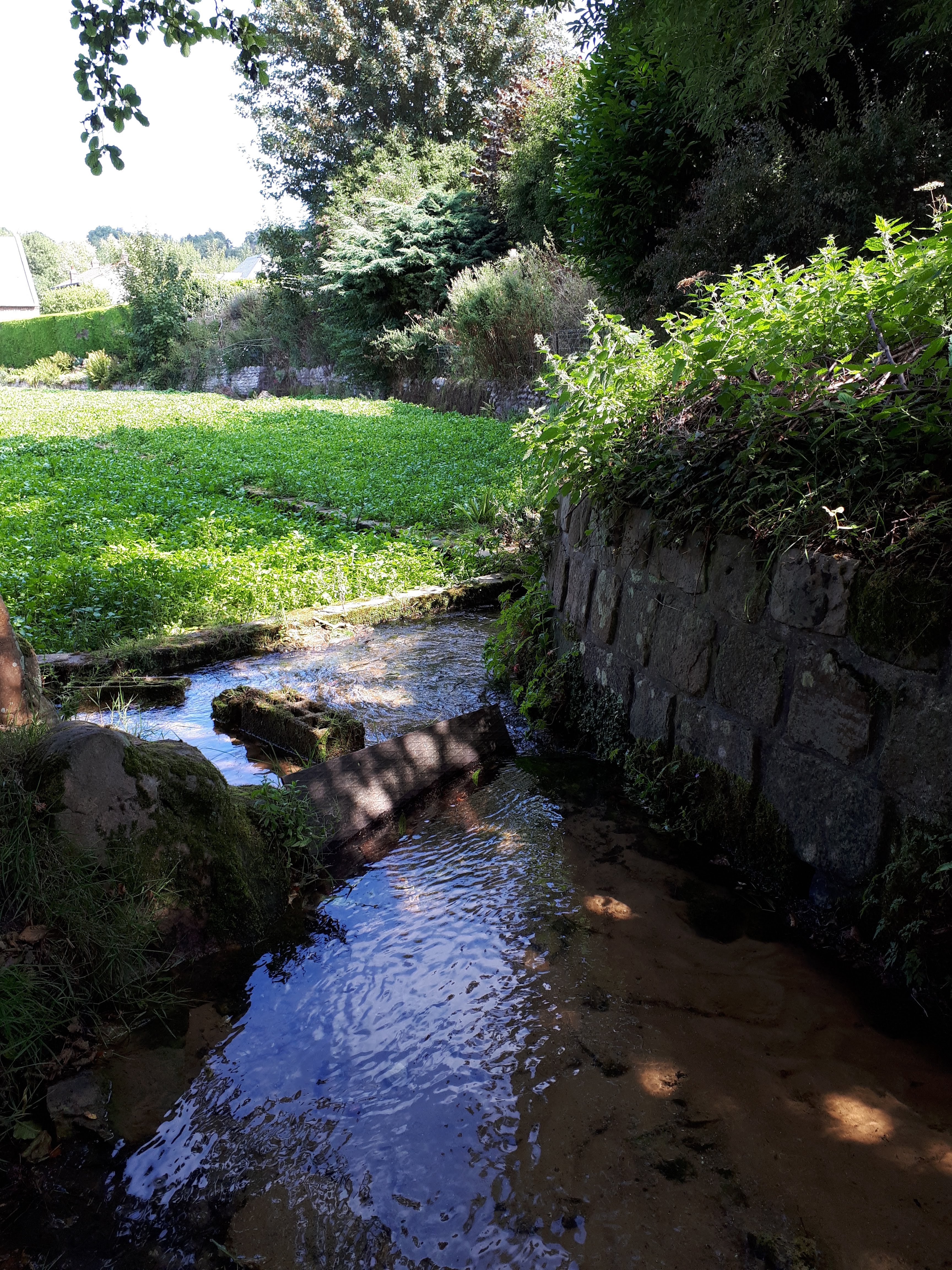 Photo n° 1 de l'avis de Marie.e fait le 05/09/2018 à 09:20