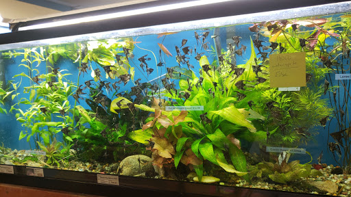 Pet Store «Hendersonville Pet Shop», reviews and photos, 1400 Spartanburg Hwy, Hendersonville, NC 28792, USA