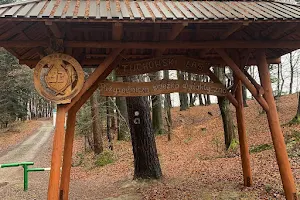 Ścieżka przyrodniczo-dydaktyczna "Tuchowski Las" image