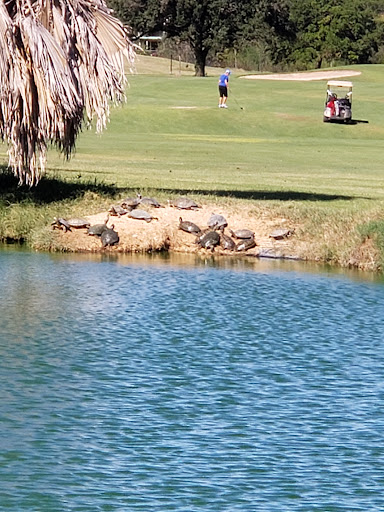Golf Course «Riverside Golf Course», reviews and photos, 203 McDonald, San Antonio, TX 78210, USA