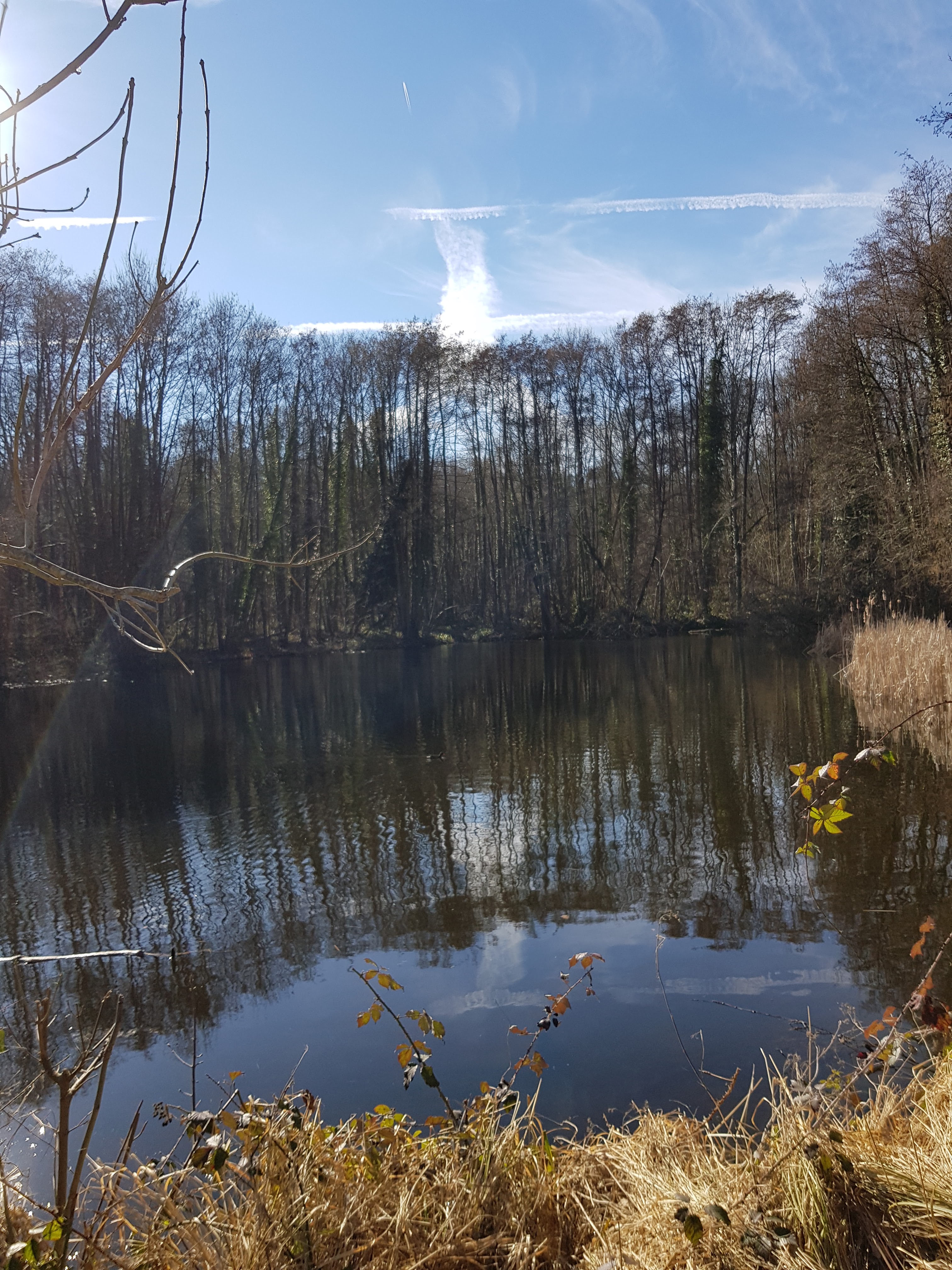 Photo n° 2 de l'avis de nathalie.e fait le 02/03/2019 à 12:09