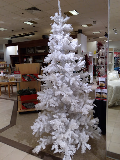 Department Store «Bon-Ton», reviews and photos, 270 Loudon Rd, Concord, NH 03301, USA