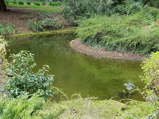 Park «Rocky Butte Park», reviews and photos, NE Rocky Butte Rd, Portland, OR 97220, USA