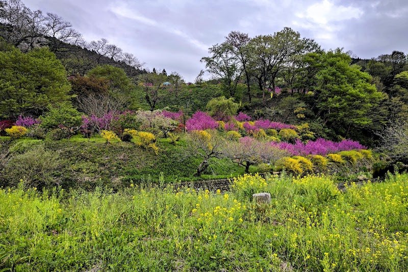 うえまる花の丘庭園