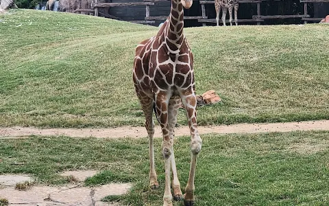 Petting Barn at Fort Worth Zoo image