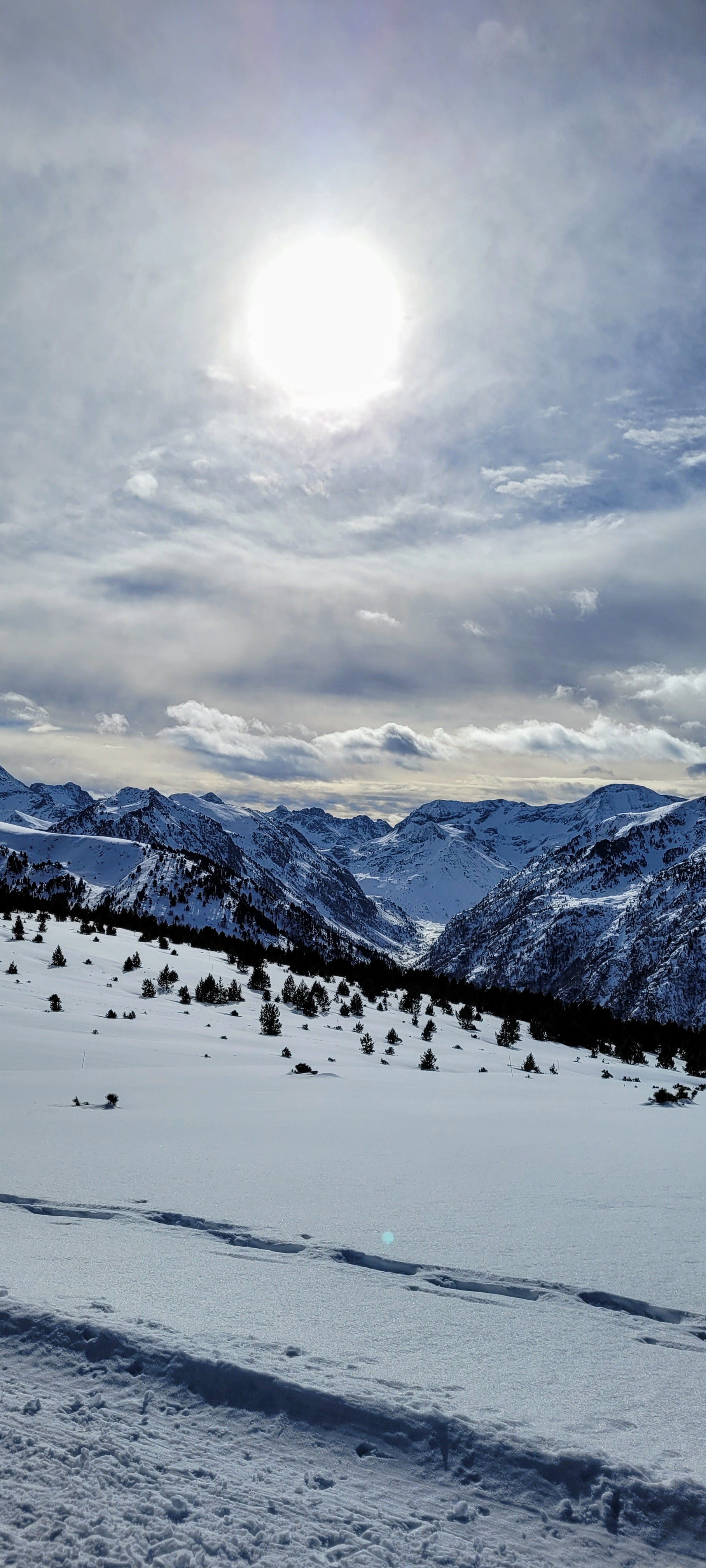 Photo n° 8 de l'avis de Jean-Marc.A fait le 08/03/2023 à 19:51
