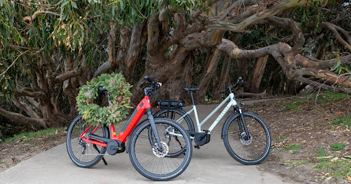 Motor Scooter Dealer «Electric Avenue Scooters», reviews and photos, 4616 Triangle Ave #403, Austin, TX 78751, USA