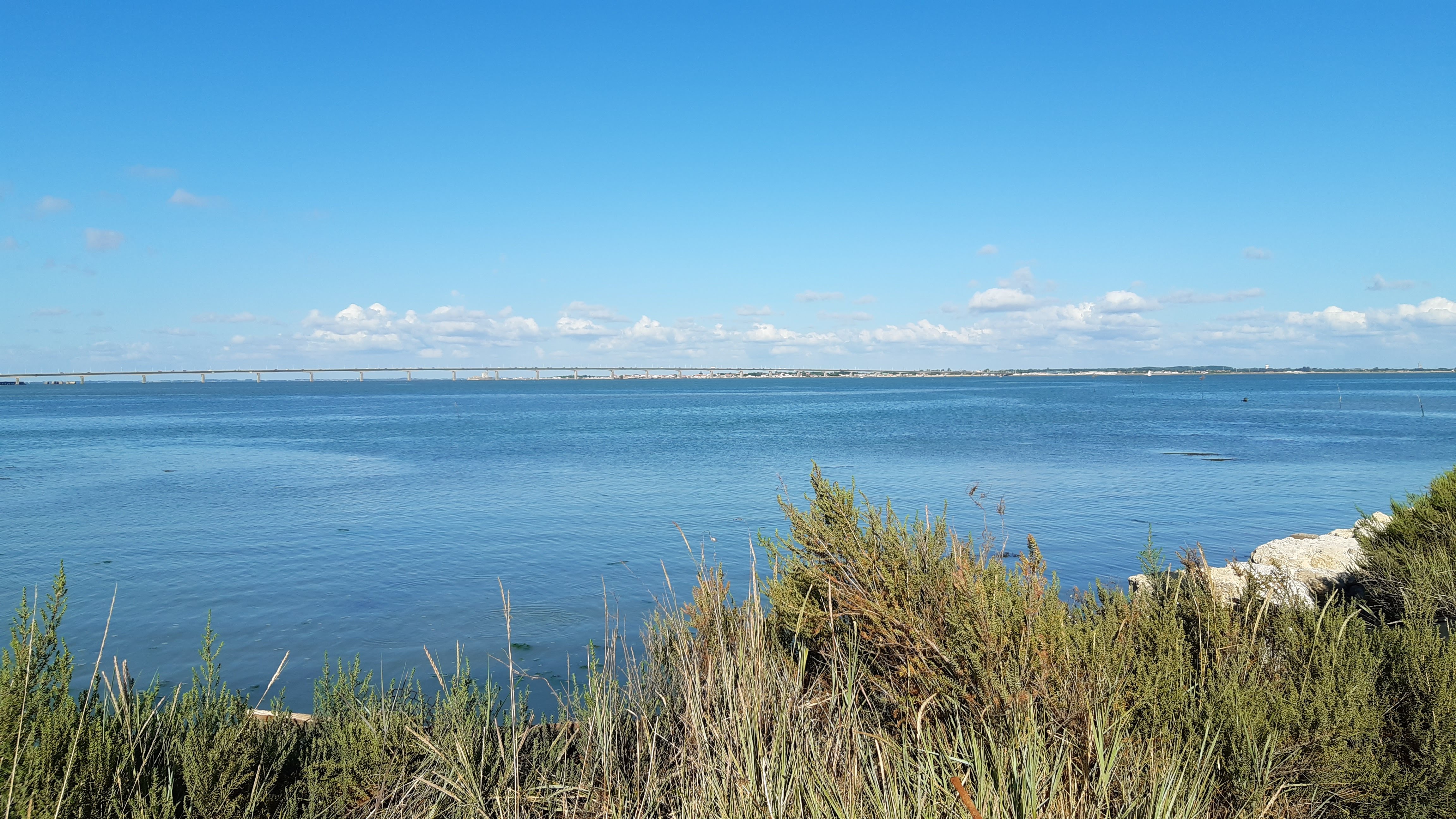 Photo n° 3 de l'avis de Sabine.a fait le 29/07/2021 à 21:46