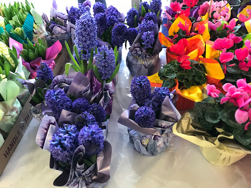 Supermarket «206 Farmers Market Inc», reviews and photos, 626 US-206, Hillsborough Township, NJ 08844, USA