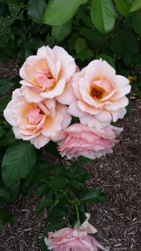 Zoo «Brandywine Zoo», reviews and photos, 1001 N Park Dr, Wilmington, DE 19802, USA