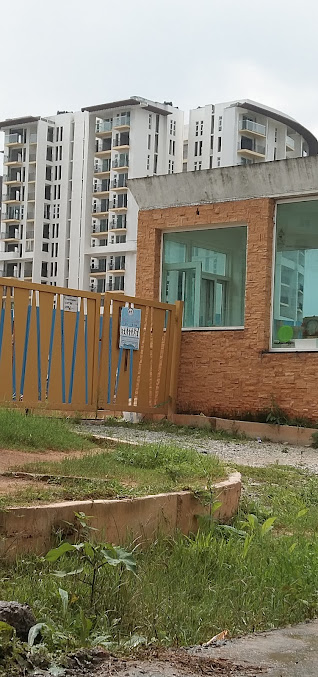 Google Maps image 21