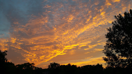 Park «Owl Creek Park», reviews and photos, 9751 Concord Rd, Brentwood, TN 37027, USA