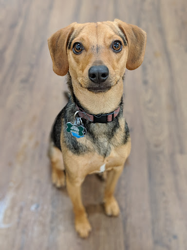 Pet Supply Store «PetPeople», reviews and photos, 3330 Washtenaw Ave, Ann Arbor, MI 48104, USA