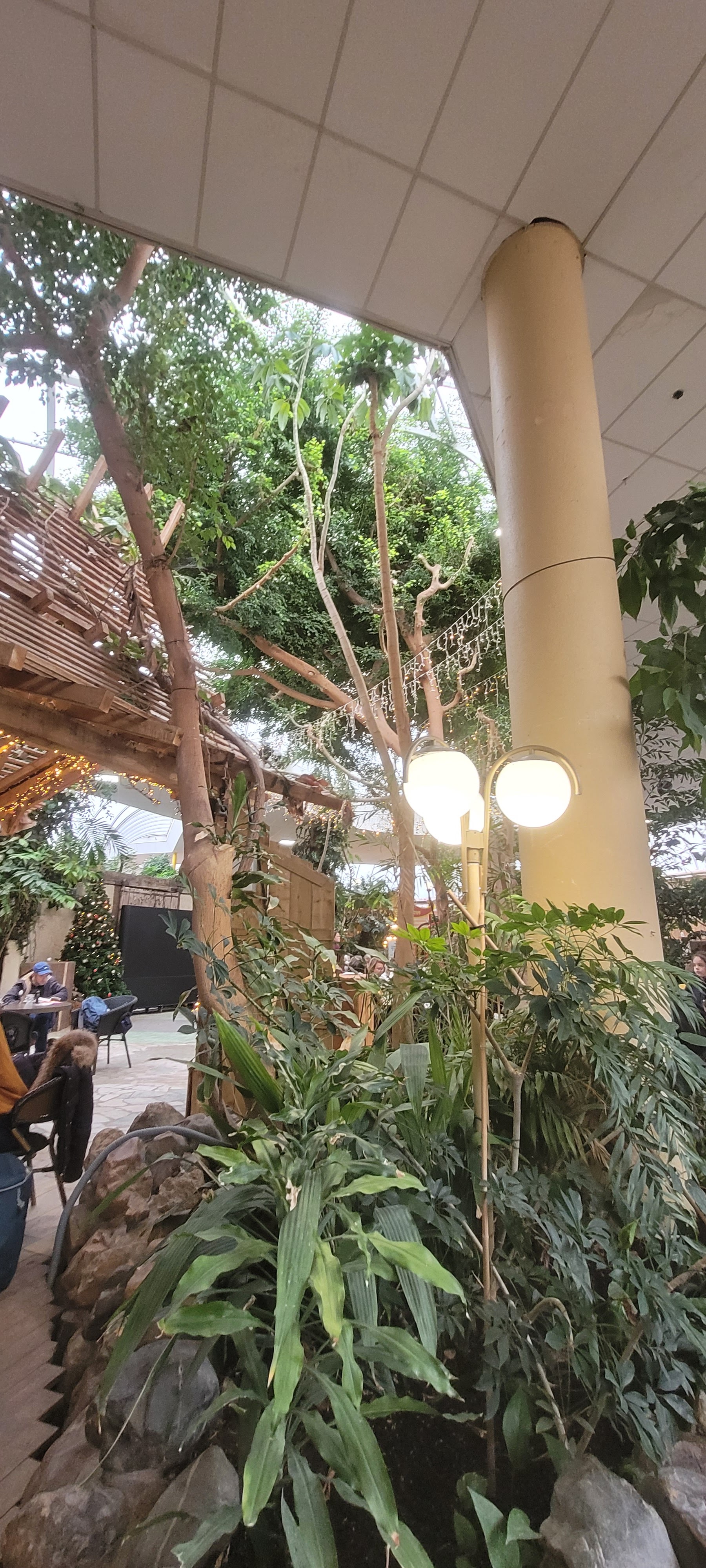 Photo n° 2 de l'avis de Anaëlle. fait le 07/02/2024 à 18:20