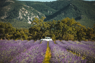 Yes Provence - Location 2cv, Méhari, Cox décapotable et Combi-Van à Saint-Andiol