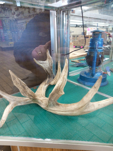 Sporting Goods Store «Kames Sports», reviews and photos, 8516 Cleveland Ave NW, North Canton, OH 44720, USA