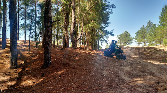 Camping Municipal B - Tacuarembó