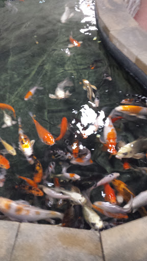 Pet Supply Store «Monster Pets», reviews and photos, 130 Black Horse Pike # 502, Audubon, NJ 08106, USA