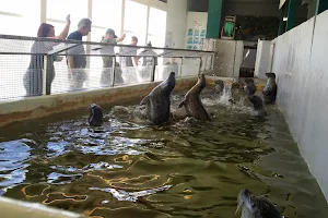 Seaside Aquarium image