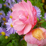 Photo n°8 de l'avis de mel.o fait le 22/10/2020 à 14:48 sur le  Haus Silke am See à Groß Köris