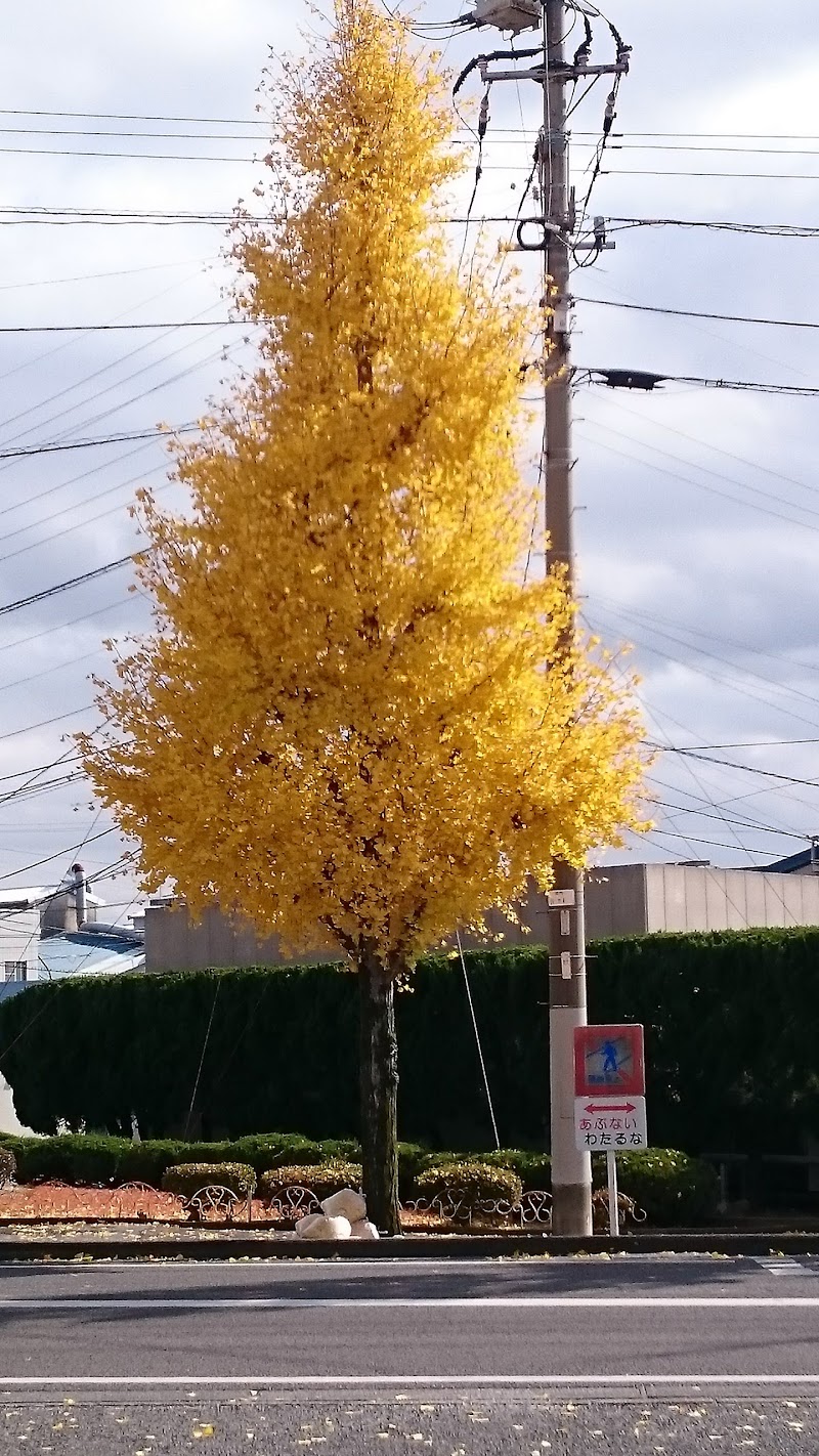 メモリードホール東佐賀