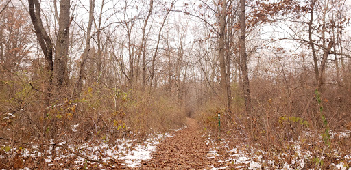 Nature Preserve «Lost Lake Nature Preserve», reviews and photos, Evans Rd, Holly, MI 48442, USA