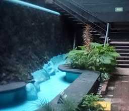 Hotel Diplomático photo