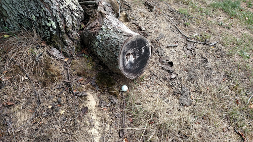 Golf Course «Irish Hills Golf Club», reviews and photos, 7020 Newark Rd, Mt Vernon, OH 43050, USA