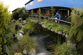 Casa Azul Hostel