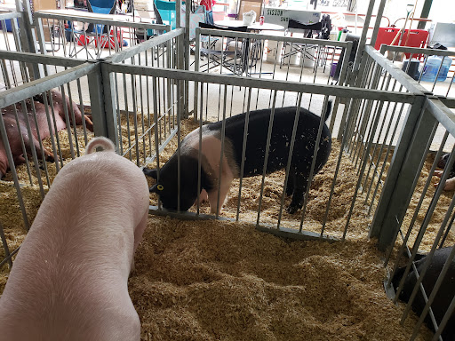 Fairground «Johnson County Indiana 4-H Fairgrounds», reviews and photos, 250 Fairground St, Franklin, IN 46131, USA