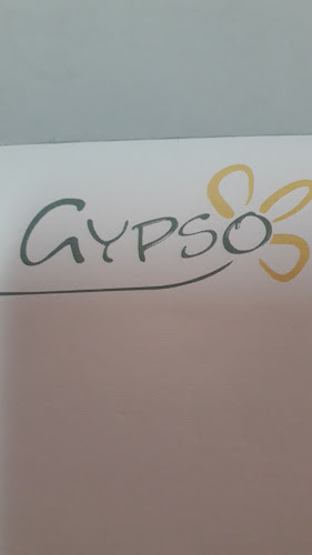 gypsoflowers.com