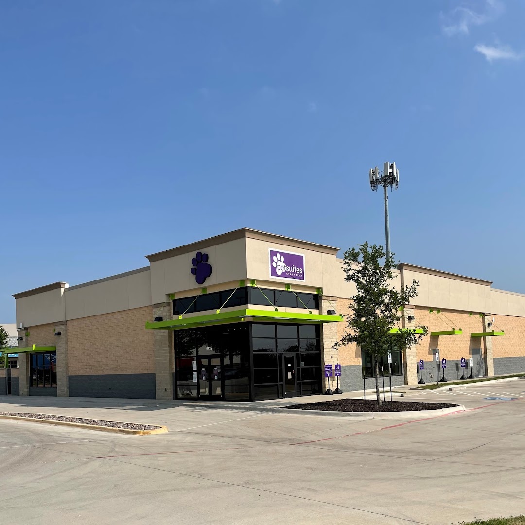 PetSuites Arlington