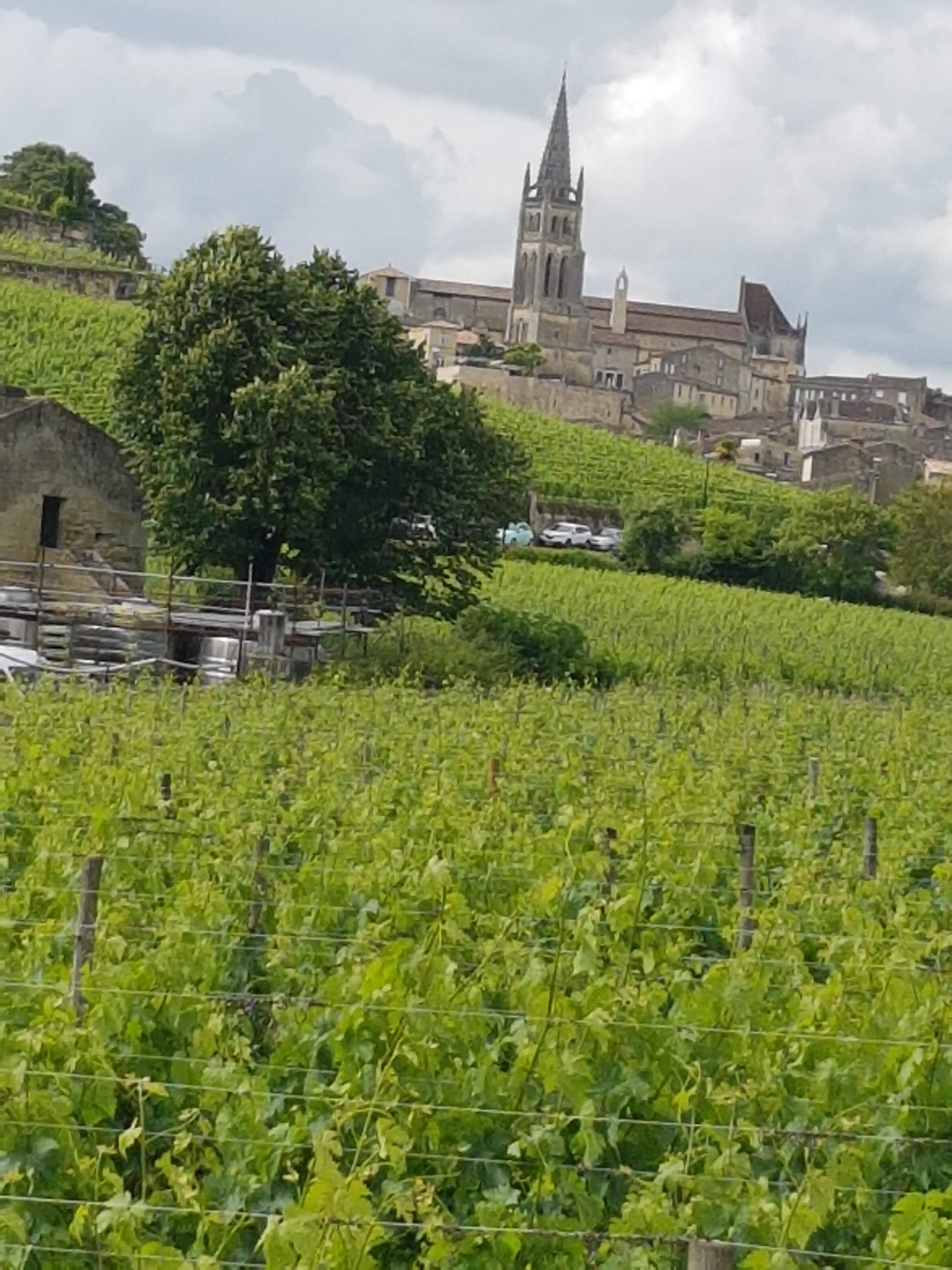 Photo n° 2 de l'avis de Laurence.l fait le 15/06/2019 à 11:32