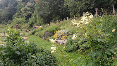 Serpettes et Chaudrons à Sarp