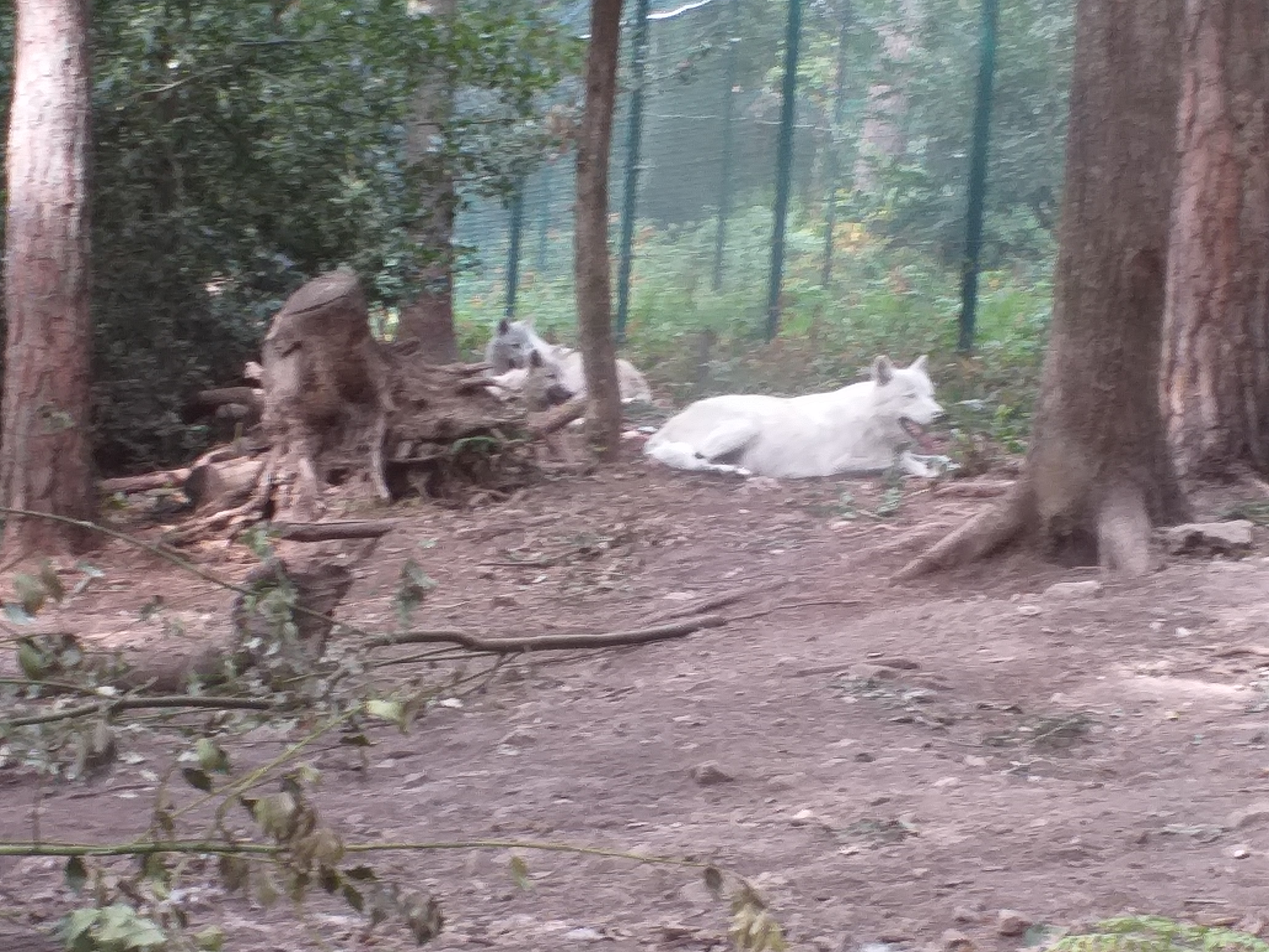 Photo n° 3 de l'avis de Jeannine.e fait le 12/08/2020 à 17:04
