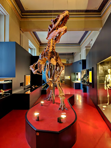 Rezensionen über Naturhistorisches Museum Basel in Pratteln - Museum