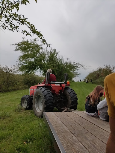 Orchard «Deardorff Orchards», reviews and photos, 8282 Parley Lake Rd, Waconia, MN 55387, USA