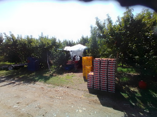 Stadium «Dean E. Smith Center», reviews and photos, 300 Skipper Bowles Dr, Chapel Hill, NC 27514, USA