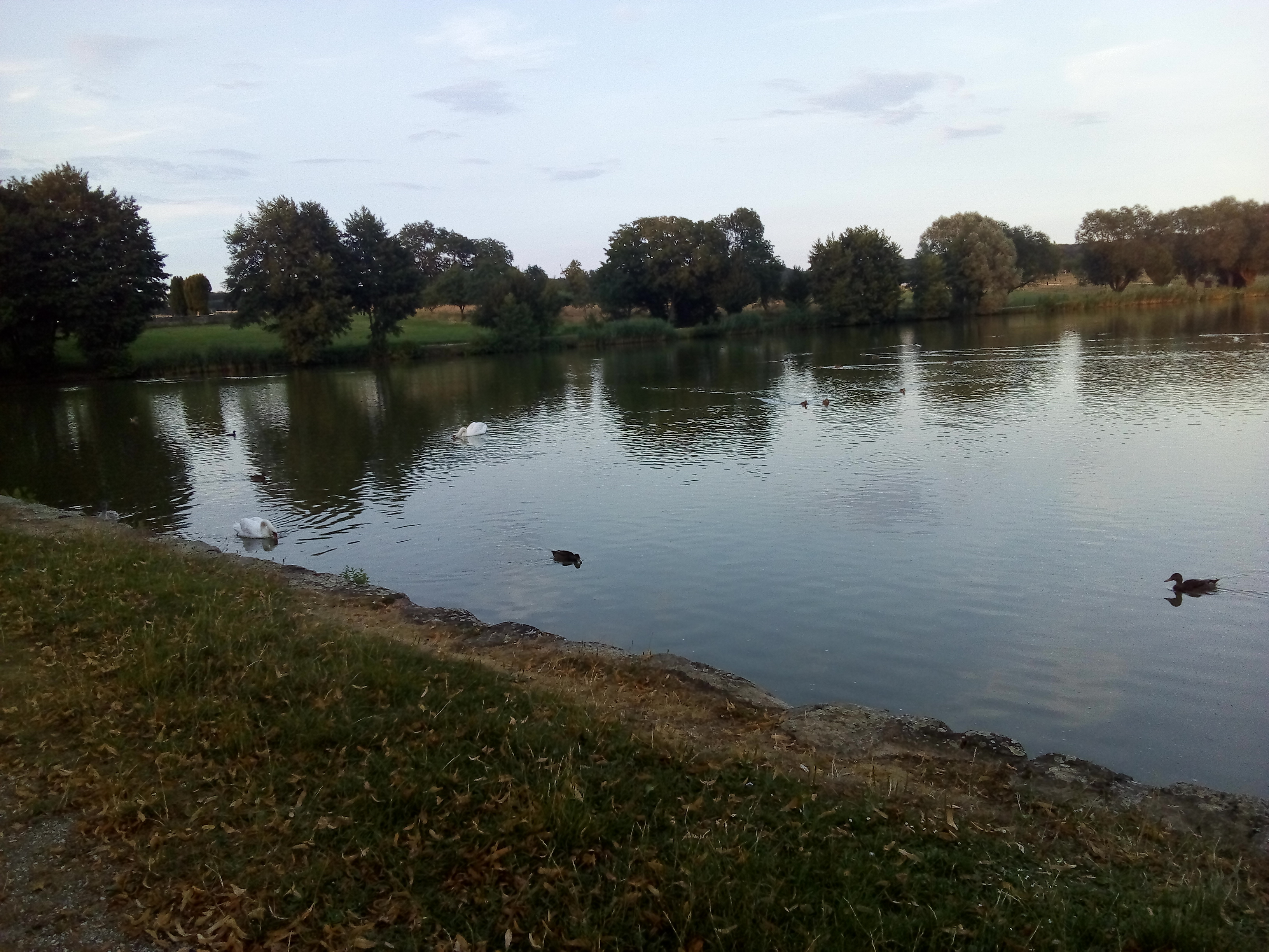 Photo n° 1 de l'avis de Thierry.A fait le 17/07/2018 à 19:28