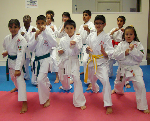 Japanese academies in Birmingham