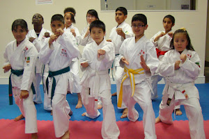 Zen-Shin Martial Arts Academy - Digbeth