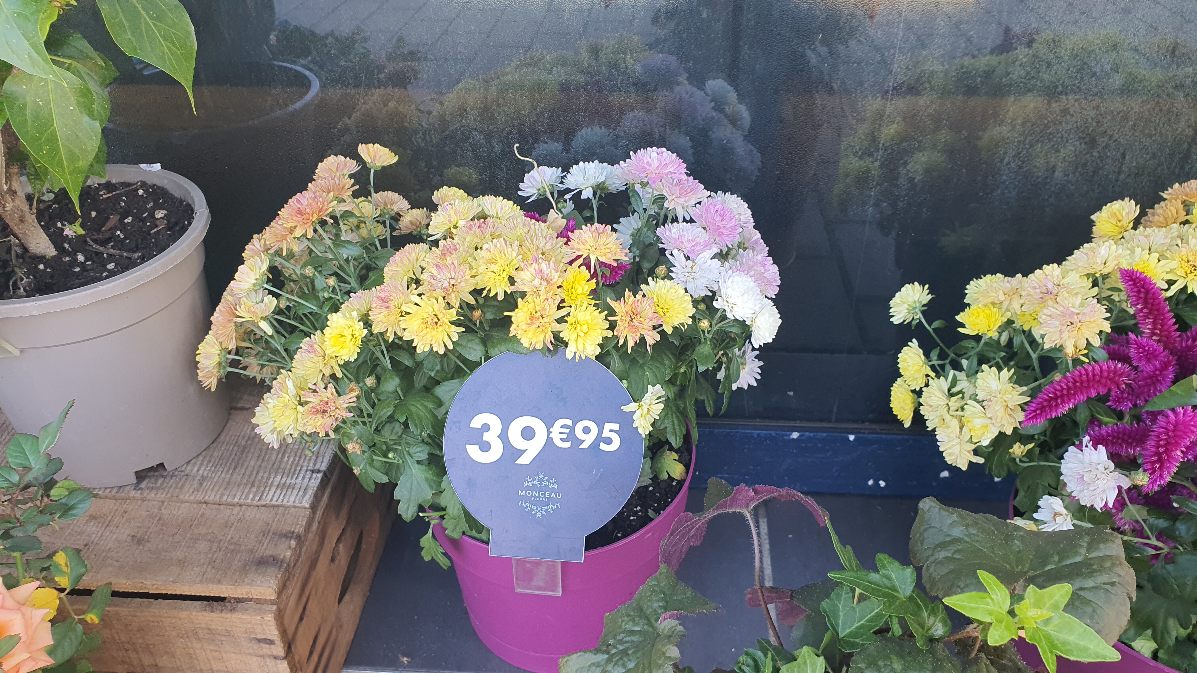 Photo n° 1 de l'avis de Marie-Laure.t fait le 04/10/2022 à 21:18