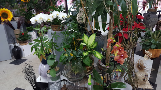 Florist «Wheeling Flowers», reviews and photos, 19 W Dundee Rd, Wheeling, IL 60090, USA