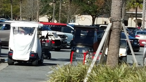 Florist «The Villages Florist Of Lady Lake», reviews and photos, 930 Bichara Blvd, Lady Lake, FL 32159, USA